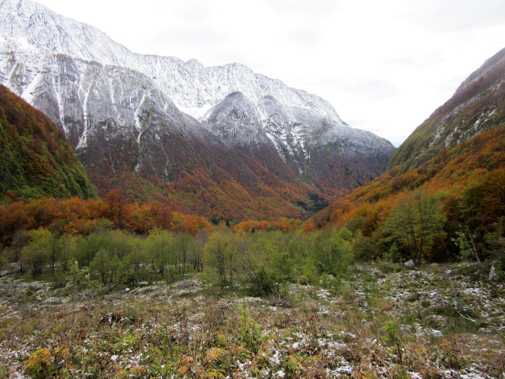 Villa Bezgova Hisica Bovec Exterior foto