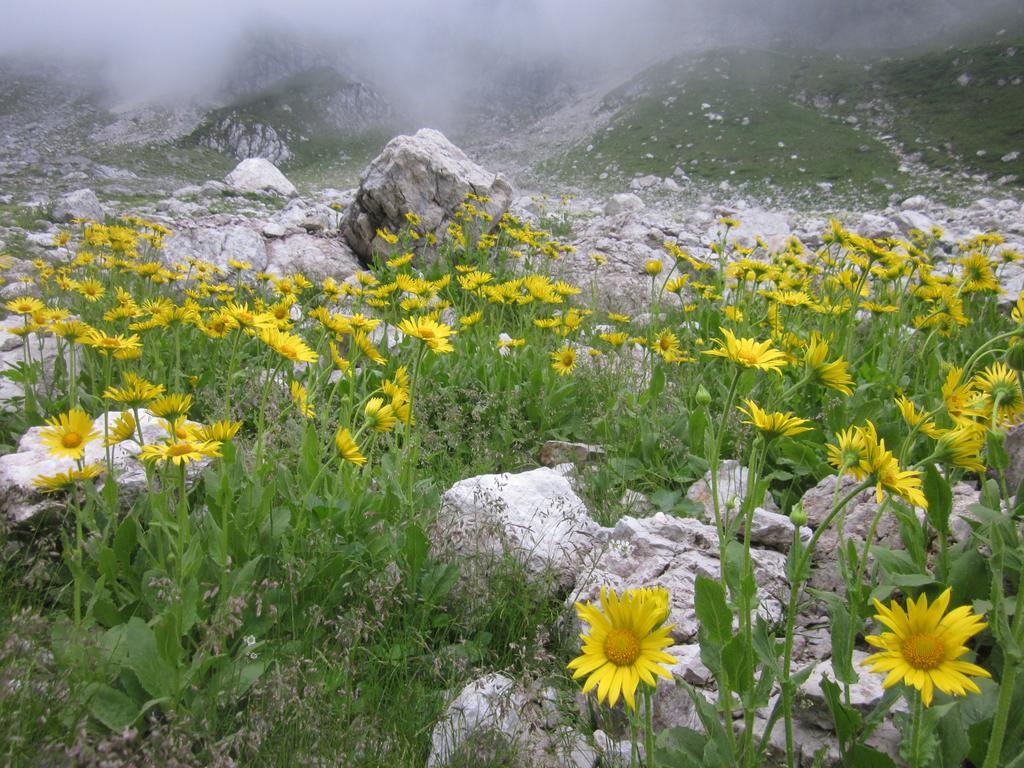 Villa Bezgova Hisica Bovec Exterior foto