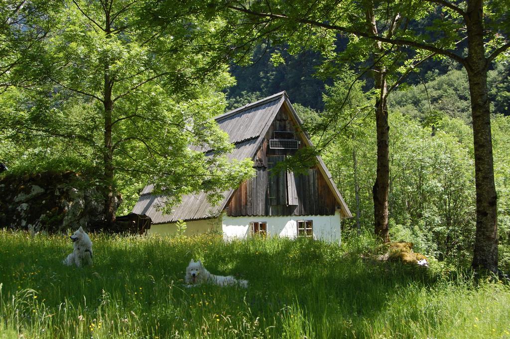 Villa Bezgova Hisica Bovec Exterior foto