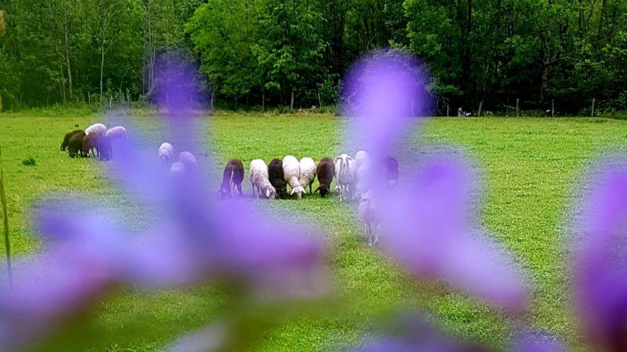 Villa Bezgova Hisica Bovec Exterior foto